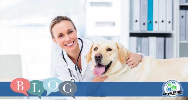 Consejos limpieza veterinario